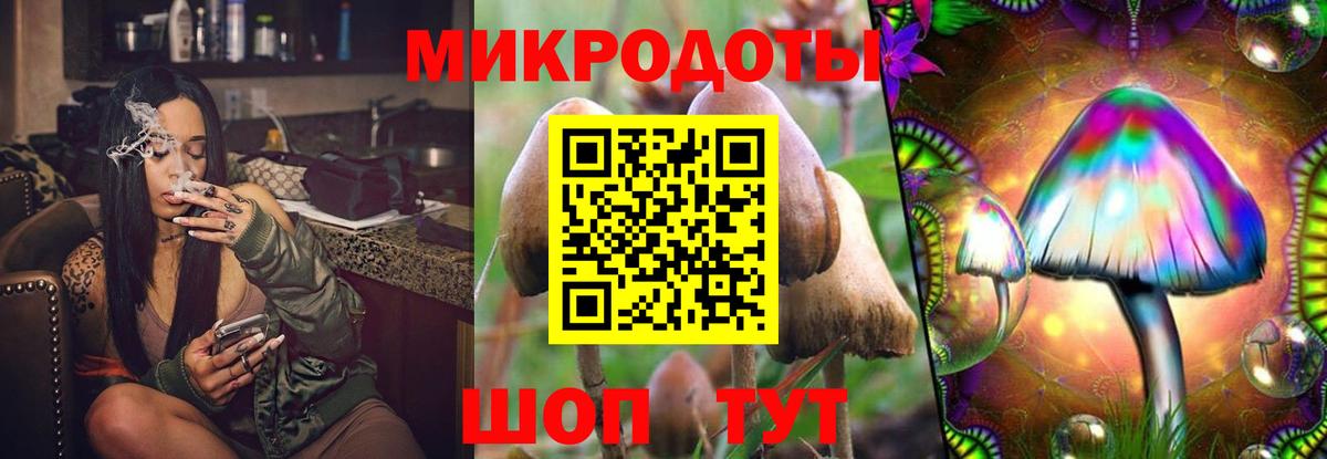 Галлюциногенные грибы Psilocybe Благовещенск
